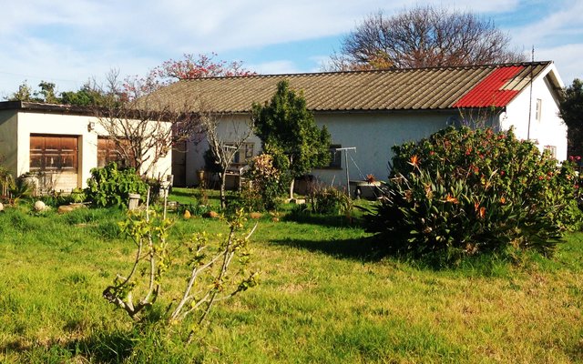 Copy of Aldrich Cora 005